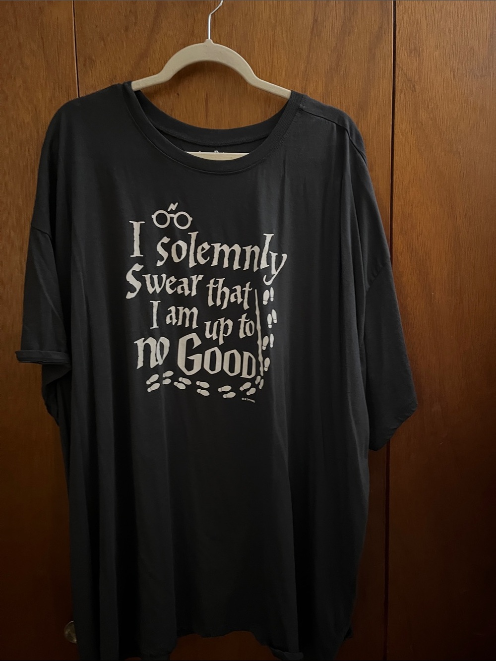 Torrid Harry Potter tee